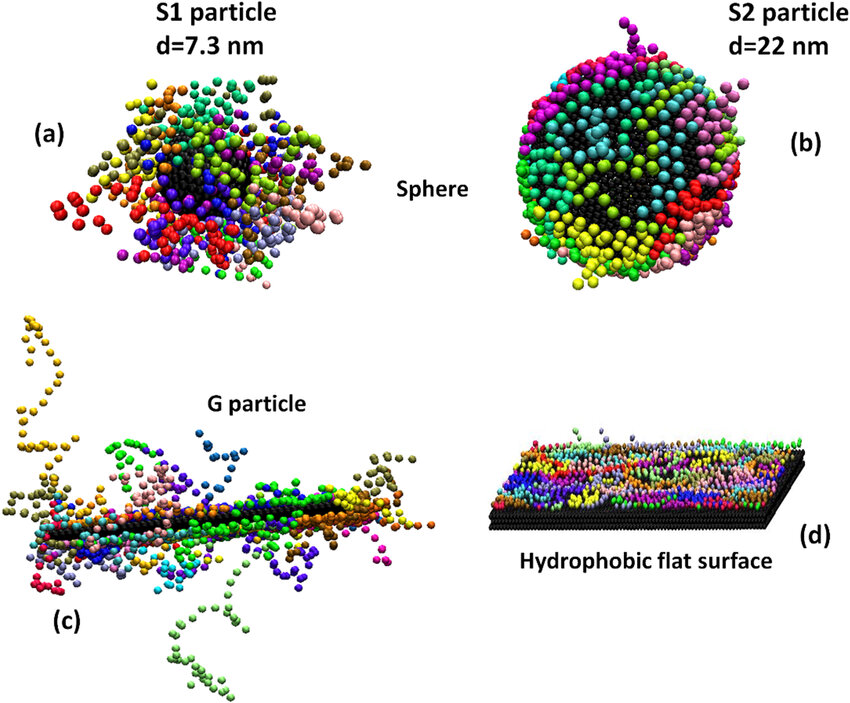 Polymer Adsorption simulation result